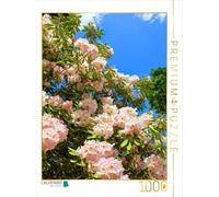 Puzzle · Blühender Rhododendron, Südengland. Zitat | Dietrich Bonhoeffer, 1906-1945 · 1000 pièces · Format assemblé 64 × 48 cm · CALVENDO Puzzle