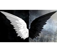Puzzle Board 1000 pièces Ailes d'ange Noir et Blanc pour Adultes et Enfants Jeu de Puzzle éducatif et Stimulant pour Cadeau de Festival 26x38CM