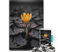 Puzzle Bois pour Adultes, Yellow Crocus Flower in Cracked Earth, 500 pièces