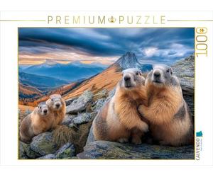 Puzzle · Bonjour, C'est Nous - la Famille des marmottes | 1000 pièces · Format assemblé 64 × 48 cm · CALVENDO Puzzle