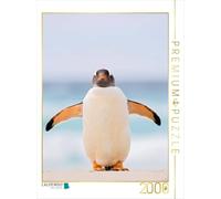 Puzzle · Bonjour, Pingouin | Un manchot à tête d'âne sur la plage · 2000 pièces · Format assemblé 90 × 67 cm · CALVENDO Puzzle