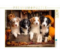 Puzzle · Border Collies - Vier Kleine Herzensbrecher
