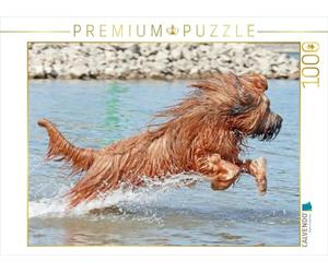 Puzzle · Briard, Plein de Joie de Vivre Quand il Joue | Briard jouant dans l'eau · 1000 pièces · Format assemblé 64 × 48 cm · CALVENDO Puzzle