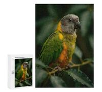 Puzzle Brown and Green Parrot, 300 PCS, Activité Créative À La Maison, comme Présent Festif pour Amateurs De Puzzles, pour Les Fêtes