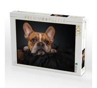 Puzzle · Bruno | Bully, bouledogue français · Bruno · 1000 pièces · Format assemblé 64 × 48 cm · CALVENDO Puzzle