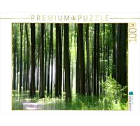 Puzzle · Buchenwald | Une illustration tirée du calendrier « Natur pur » : une forêt… · 1000 pièces · Format assemblé 64 × 48 cm · CALVENDO Puzzle