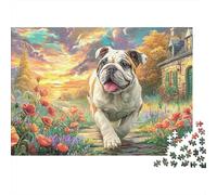 Puzzle Cadeau 1000 pièces Bouledogue Anglais pour Adultes, Bouledogue, Coquelicots, Coucher de Soleil, Premium épais Robuste Vibrant Stimulant Difficile Anti-Stress 70x50cm