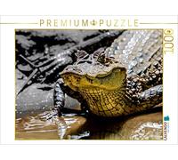 Puzzle · Caïman à lunettes (Caiman crocodilus | Le Costa Rica, un vrai paradis pour les animaux · 1000 pièces · Format assemblé 64 × 48 cm · CALVENDO Puzzle