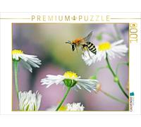 CALVENDO Puzzle Abeille et Fleurs 1000 Pieces 64 x 48 cm from Jürgen Schmidt