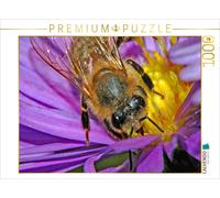 CALVENDO Puzzle Abeille à Miel 1000 Pieces 64 x 48 cm from Claudia Kleemann