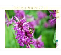 CALVENDO Puzzle Abeille Sauvage sur Une Fleur. Abeille laineuse 1000 Pieces 64 x 48 cm from Anja Frost