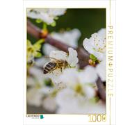 CALVENDO Puzzle Abeille sur Une Fleur de Fruit 1000 Pieces 48 x 64 cm from Mark Bangert