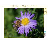 CALVENDO Puzzle Honigbiene Auf Lila Aster 1000 Teile Puzzle quer 1000 Pieces 64 x 48 cm from Kattobello