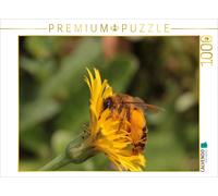 Puzzle CALVENDO Abeille sur une plante à cochons | 1000 pièces, format assemblé