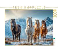 Puzzle CALVENDO Aborder ensemble la saison froide | 1000 pièces, format assemblé