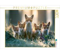 Puzzle CALVENDO Aborder la vie avec curiosité | 1000 pièces, format assemblé 64