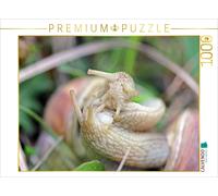 Puzzle CALVENDO Accouplement de l'escargot de vigne (Helix pomatia) | 1000 pièce