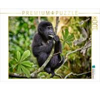 Puzzle CALVENDO Adorable petit gorille de montagne, Gorilla beringei beringei, P