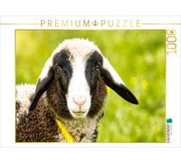 Puzzle CALVENDO Agneau aux oreilles tombantes | 1000 pièces, format assemblé 64