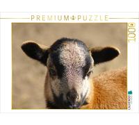 Puzzle CALVENDO Agneau du Cameroun | 1000 pièces, format assemblé 64 × 48 cm | P