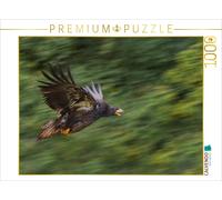 Puzzle CALVENDO Aigle | 1000 pièces, format assemblé 64 × 48 cm | Puzzle photo p