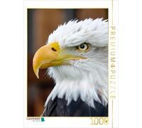 Puzzle CALVENDO Aigle | 1000 pièces, format assemblé 64 × 48 cm | Puzzle photo p