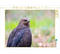 Puzzle CALVENDO Aigle hurleur | 1000 pièces, format assemblé 64 × 48 cm | Puzzle