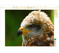 Puzzle CALVENDO Aigle royal | 1000 pièces, format assemblé 64 × 48 cm | Puzzle p