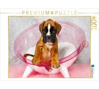CALVENDO Puzzle Alerte câlins - Bébé Boxer 1000 Pieces 64 x 48 cm from Kerstin Mielke
