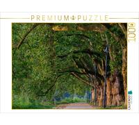 CALVENDO Puzzle Avenue des peupliers sur l'île du Parc 1000 Pieces 64 x 48 cm from Thomas Seethaler