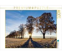 Puzzle CALVENDO Allée de tilleuls en hiver | 1000 pièces, format assemblé 64 × 4
