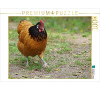 Puzzle CALVENDO Allée des poules | 1000 pièces, format assemblé 64 × 48 cm | Puz