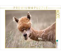 Puzzle CALVENDO Alpaga, Remigen | 1000 pièces, format assemblé 64 × 48 cm | Puzz