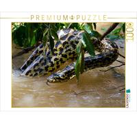 CALVENDO Puzzle Gelbe Anakonda im Pantanal 1000 Teile Puzzle quer 1000 Pieces 64 x 48 cm from Jürgen Wöhlke