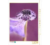 Puzzle CALVENDO Anémone | 1000 pièces, format assemblé 64 × 48 cm | Puzzle photo