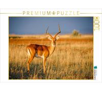 CALVENDO Puzzle Antilope Impala dans la Savane - Masai Mara 1000 Pieces 64 x 48 cm from Martina Schikore