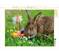 Puzzle CALVENDO Anton, le lapin de Pâques, en train de cacher les œufs de Pâques