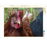 Puzzle CALVENDO Août en août | 1000 pièces, format assemblé 64 × 48 cm | Puzzle