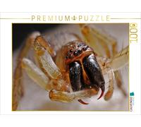 CALVENDO Puzzle Morsure d'araignée 1000 Pieces 64 x 48 cm from Elisabeth Stanzer