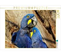 Puzzle CALVENDO Ara hyacinthe (Anodorhynchus hyacinthinus) | 1000 pièces, format