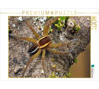 Puzzle CALVENDO Araignée chasseuse à bordures | 1000 pièces, format assemblé 64