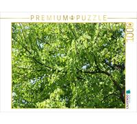 CALVENDO Puzzle Arbre Katsura 1000 Pieces 64 x 48 cm from Konrad Weiß