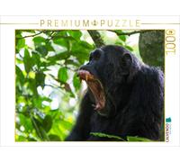 Puzzle CALVENDO Attention | 1000 pièces, format assemblé 64 × 48 cm | Puzzle p