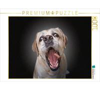 Puzzle CALVENDO Attrape la friandise | 1000 pièces, format assemblé 64 × 48 cm |