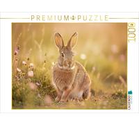 Puzzle CALVENDO Aussi mignons que le printemps lui-même: des lièvres des champs