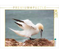 CALVENDO Puzzle Autant en emporte Le Vent - Les Fous de Bassan 1000 Pieces 64 x 48 cm from Katrin Streiparth