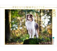 CALVENDO Puzzle Sheltie Bailey dans la forêt enchantée. 1000 Pieces 64 x 48 cm from Jasmin Bock