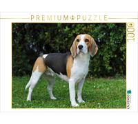 Puzzle CALVENDO Beagle | 1000 pièces, format assemblé 64 × 48 cm | Puzzle photo