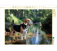 Puzzle CALVENDO Beagle - À la découverte de la forêt | 1000 pièces, format assem