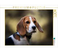 Puzzle CALVENDO Beagle-Portrait | 1000 pièces, format assemblé 64 × 48 cm | Puzz